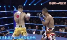 崇阳最新爆料新闻视频大全,视频大全揭秘热点事件